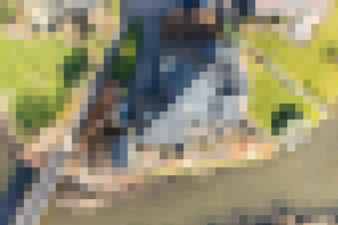 It Skûtsje 22 Mitselwier thumbnail 61
