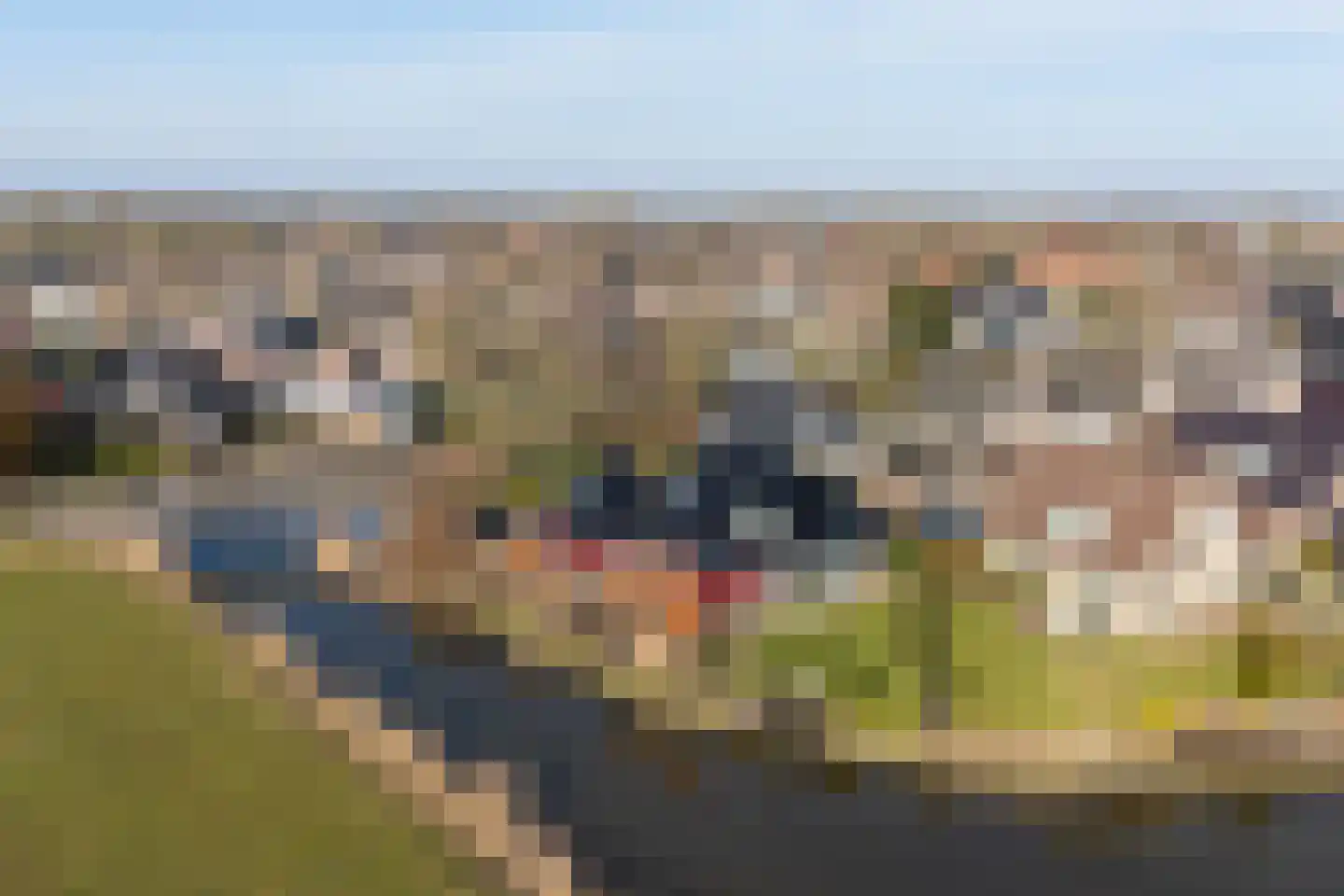 It Skûtsje 22 Mitselwier thumbnail 63