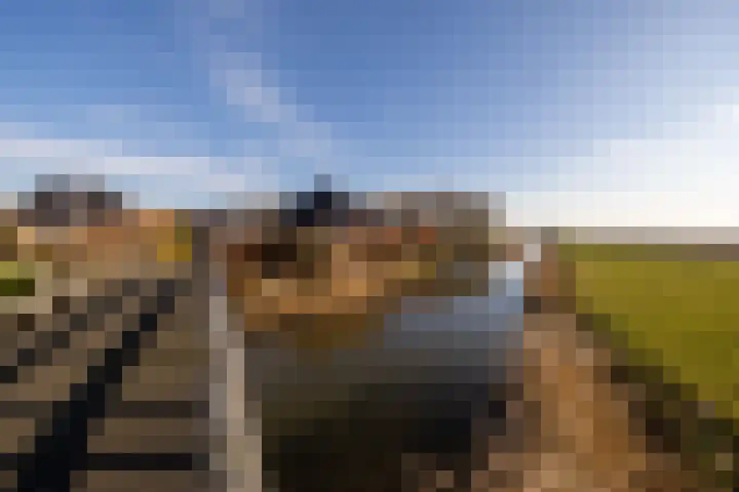 It Skûtsje 22 Mitselwier thumbnail 65