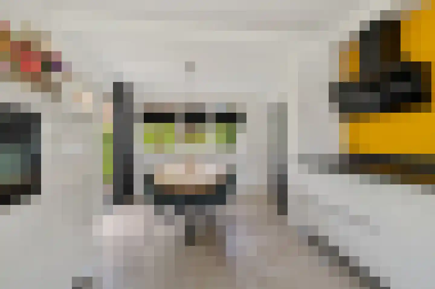 It Skûtsje 27 Grou thumbnail 10