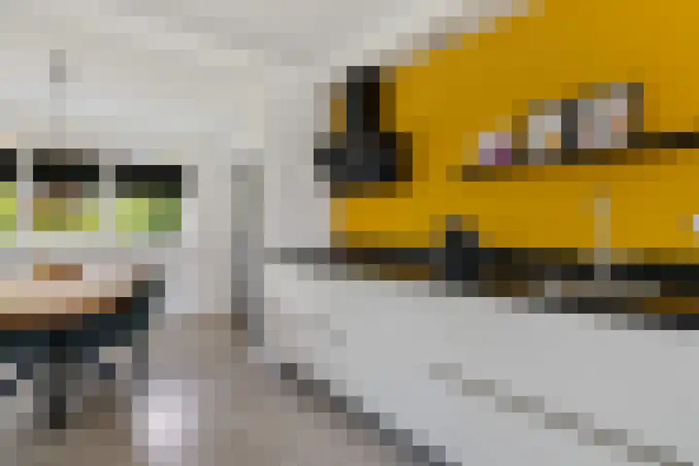 It Skûtsje 27 Grou thumbnail 12