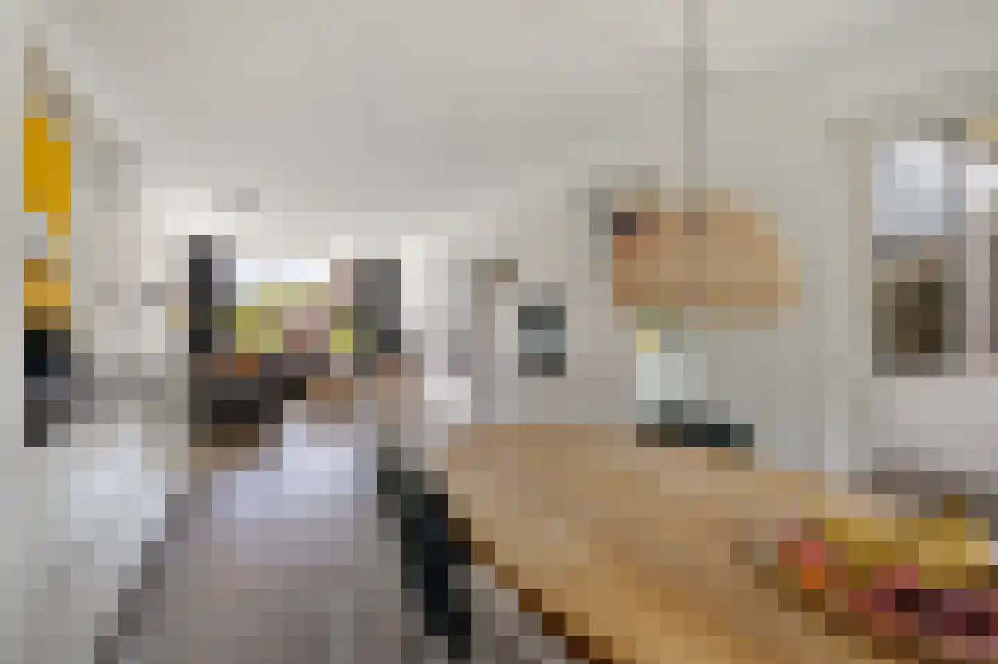 It Skûtsje 27 Grou thumbnail 13
