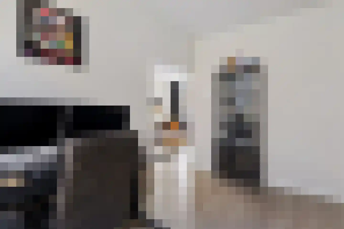 It Skûtsje 27 Grou thumbnail 23