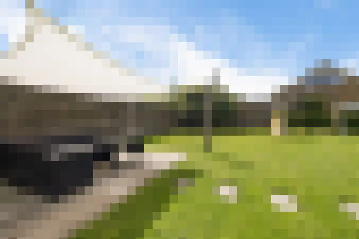 It Skûtsje 27 Grou thumbnail 32