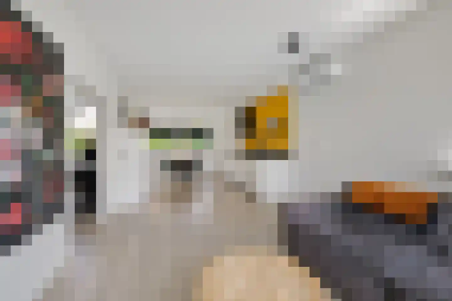 It Skûtsje 27 Grou thumbnail 8