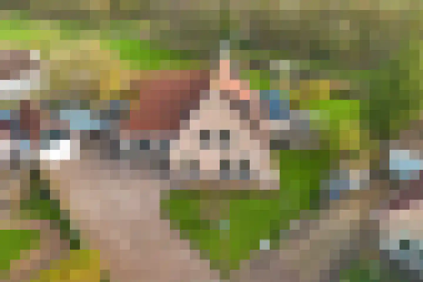 It Skûtsje 4 Mitselwier