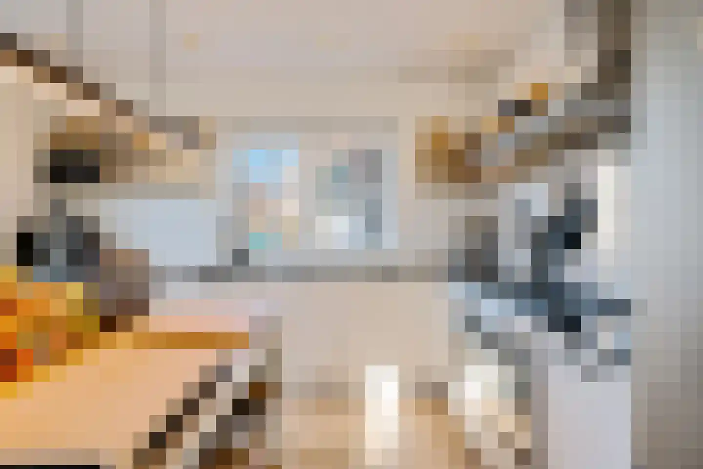 It Skûtsje 4 Mitselwier thumbnail 12