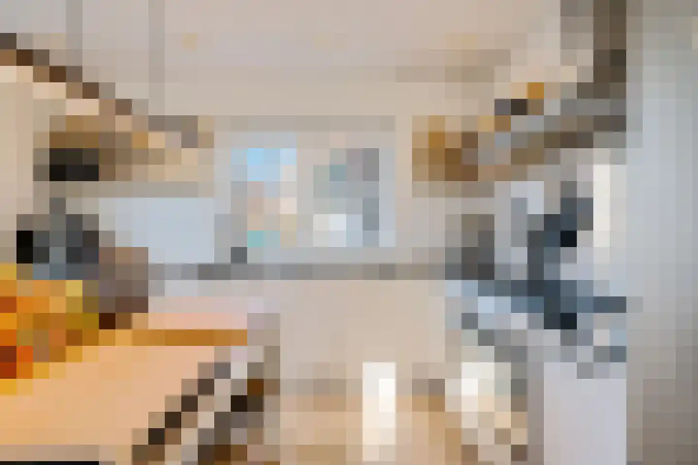 It Skûtsje 4 Mitselwier thumbnail 12