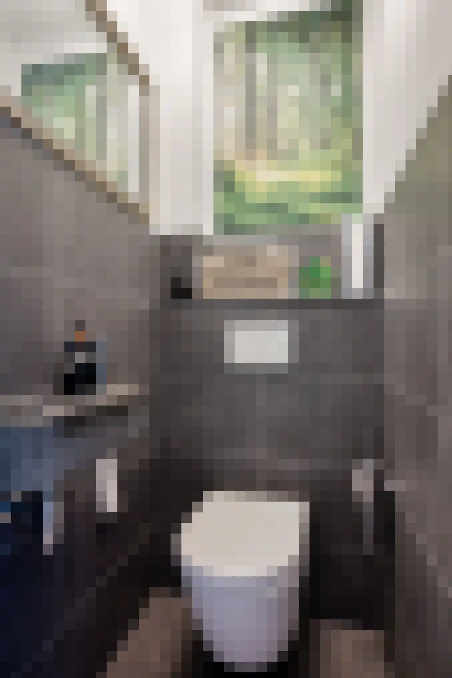 It Skûtsje 4 Mitselwier thumbnail 18