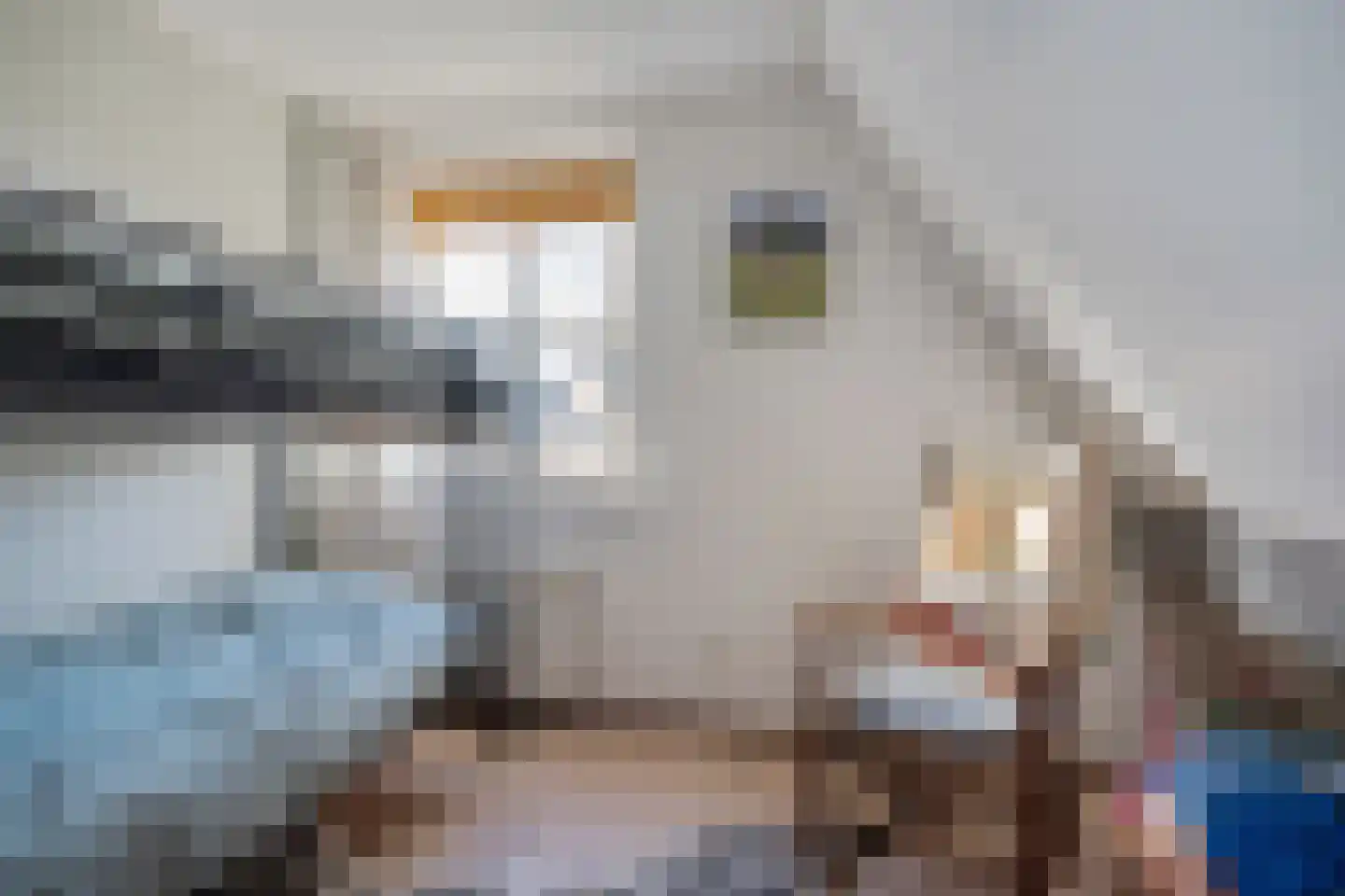 It Skûtsje 4 Mitselwier thumbnail 27