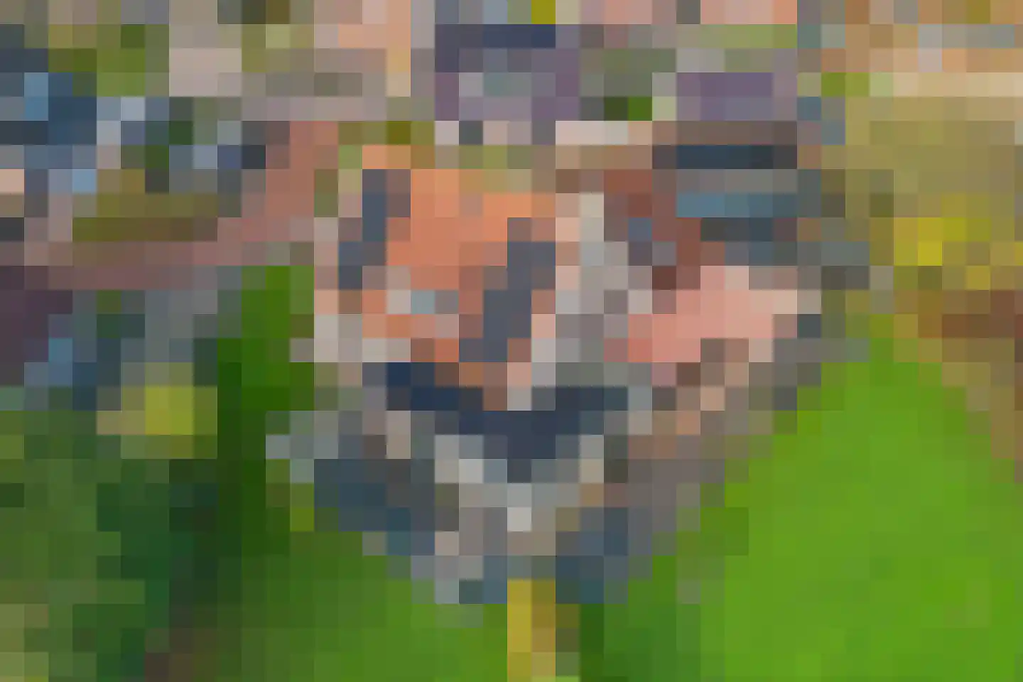 It Skûtsje 4 Mitselwier thumbnail 33