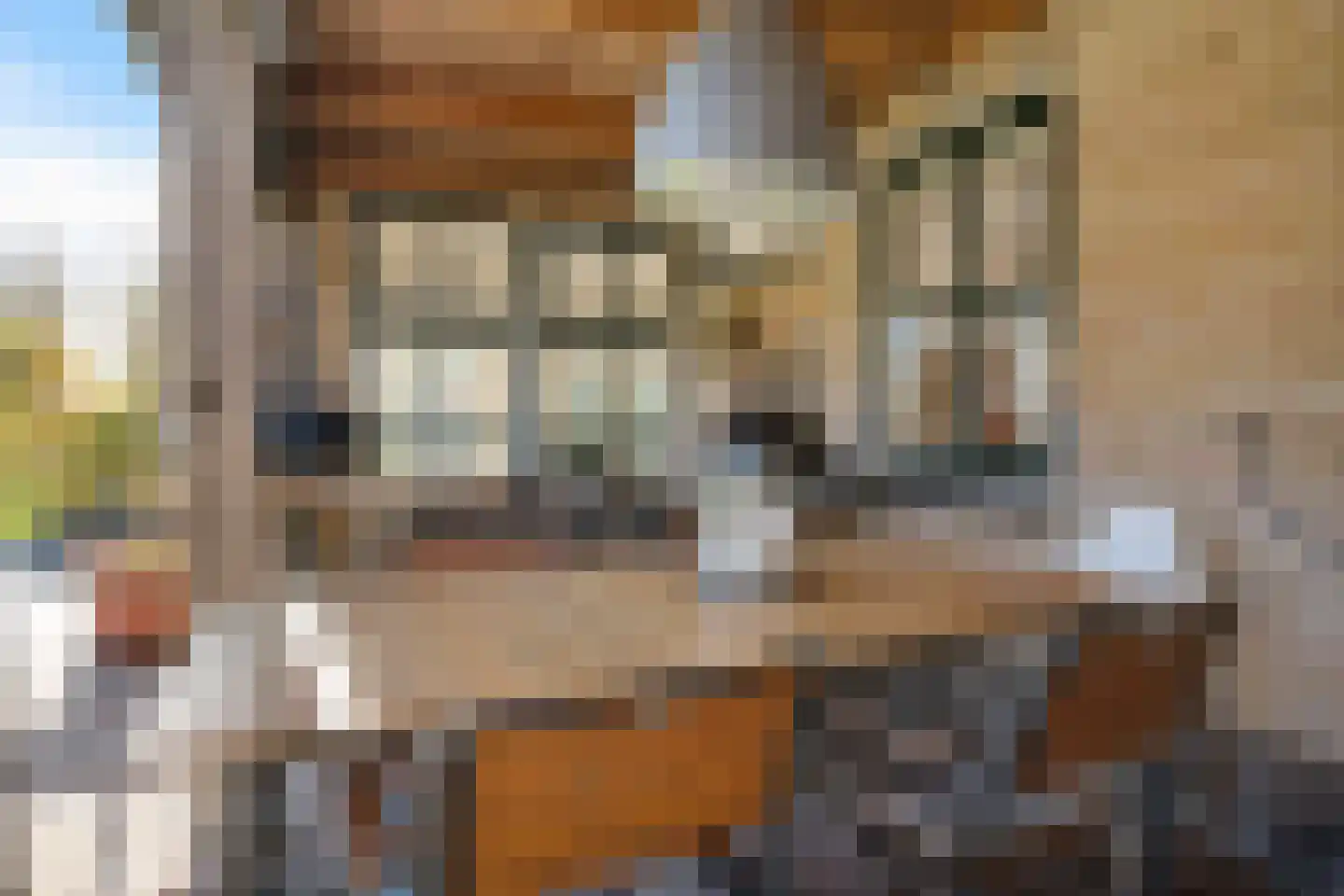 It Skûtsje 4 Mitselwier thumbnail 35