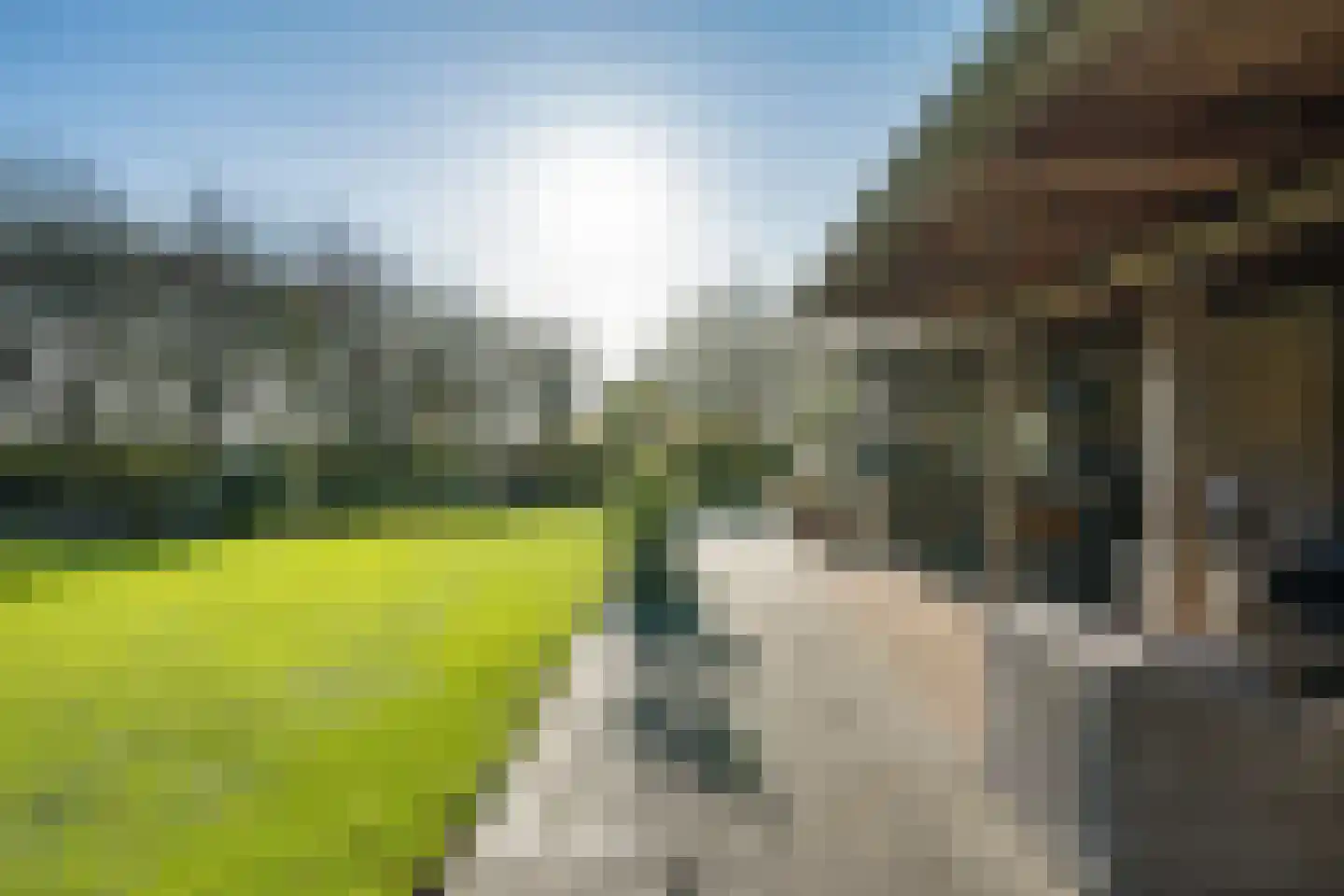 It Skûtsje 4 Mitselwier thumbnail 36