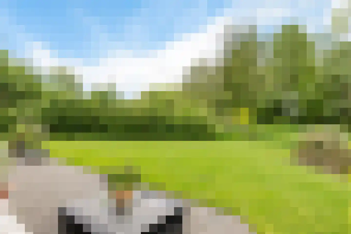 It Skûtsje 4 Mitselwier thumbnail 37