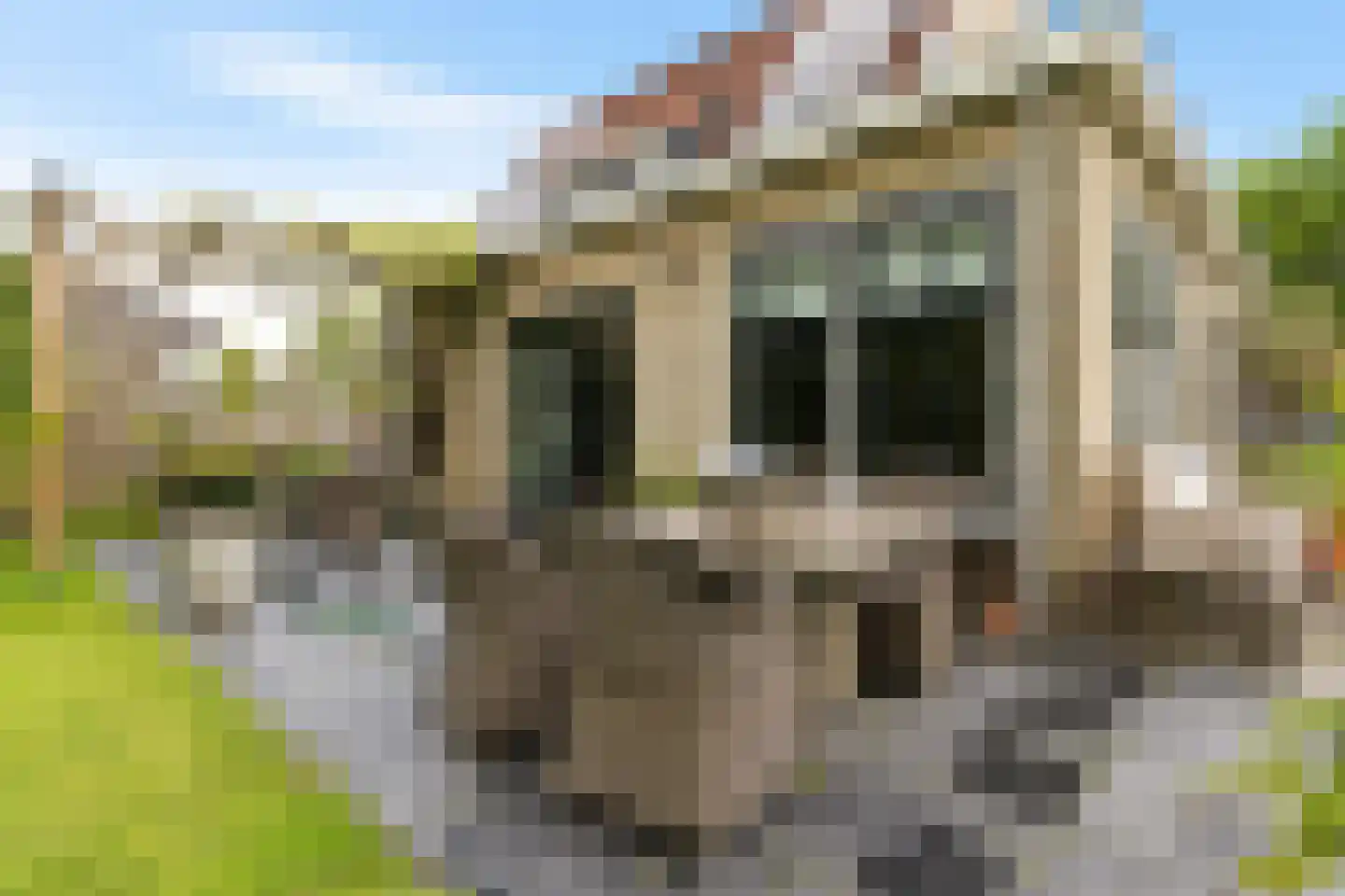 It Skûtsje 4 Mitselwier thumbnail 39