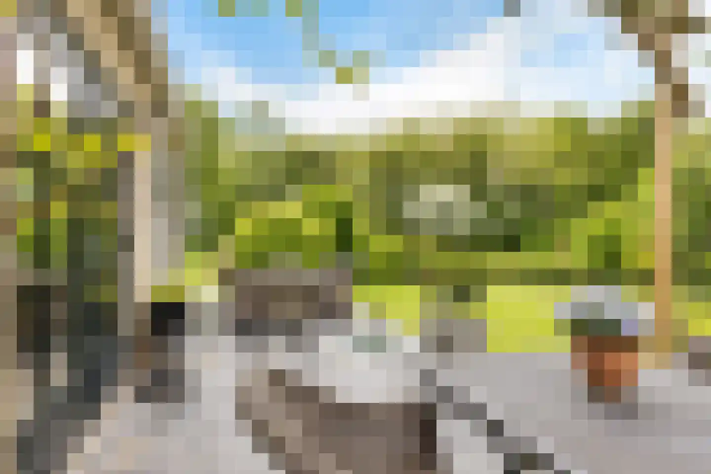 It Skûtsje 4 Mitselwier thumbnail 40