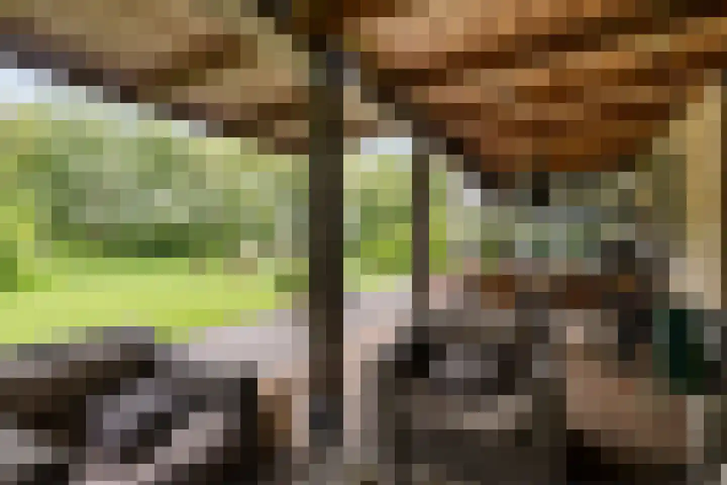 It Skûtsje 4 Mitselwier thumbnail 42