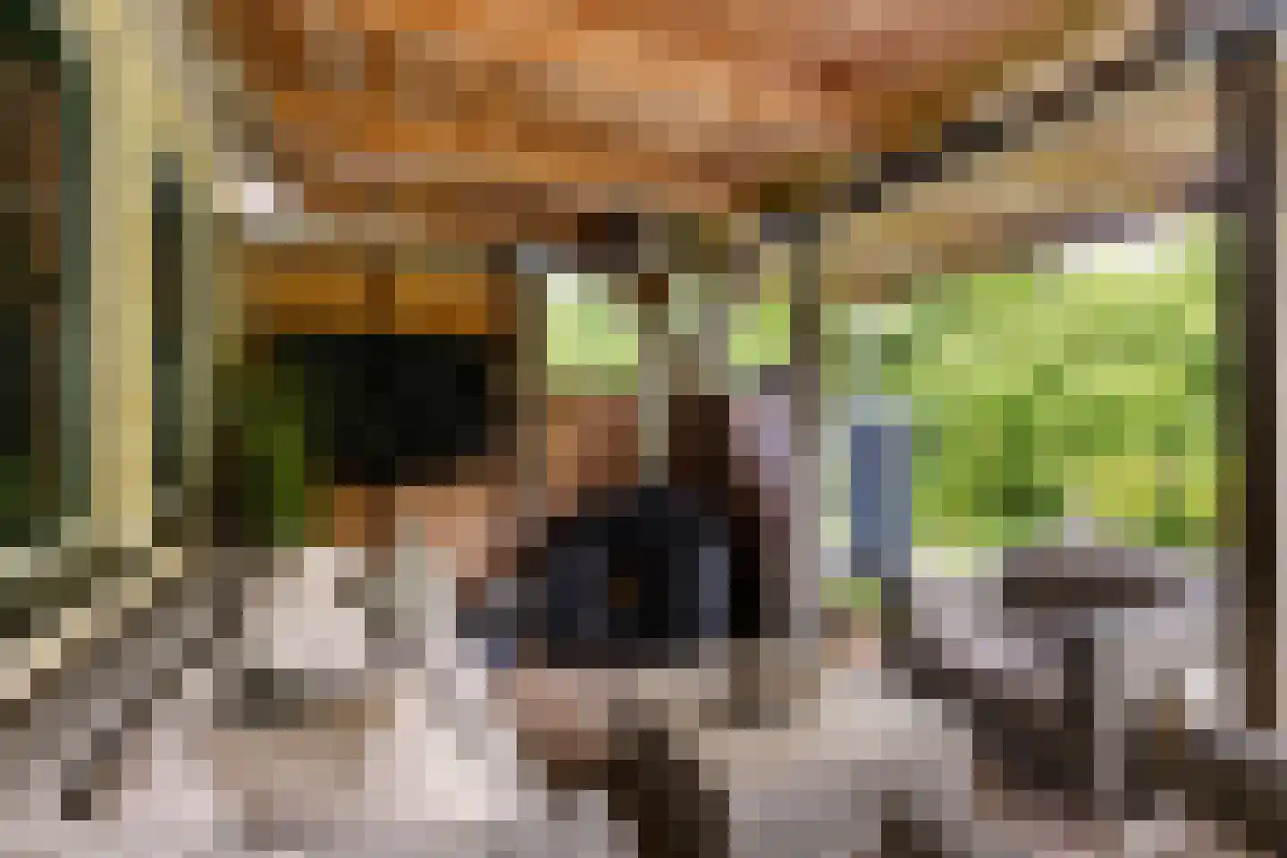 It Skûtsje 4 Mitselwier thumbnail 43