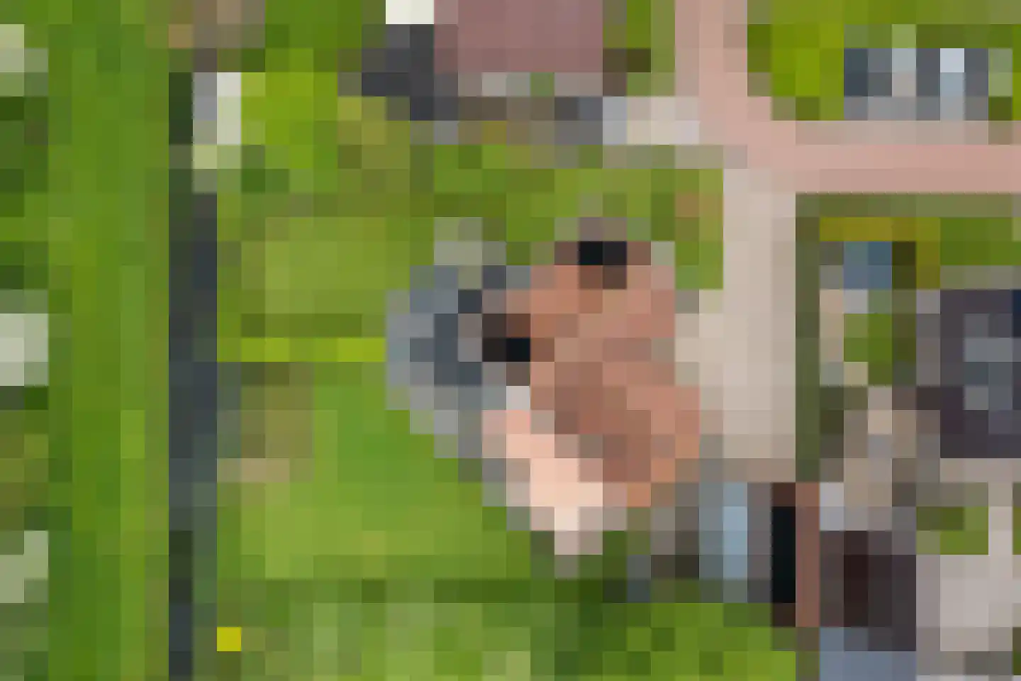 It Skûtsje 4 Mitselwier thumbnail 45