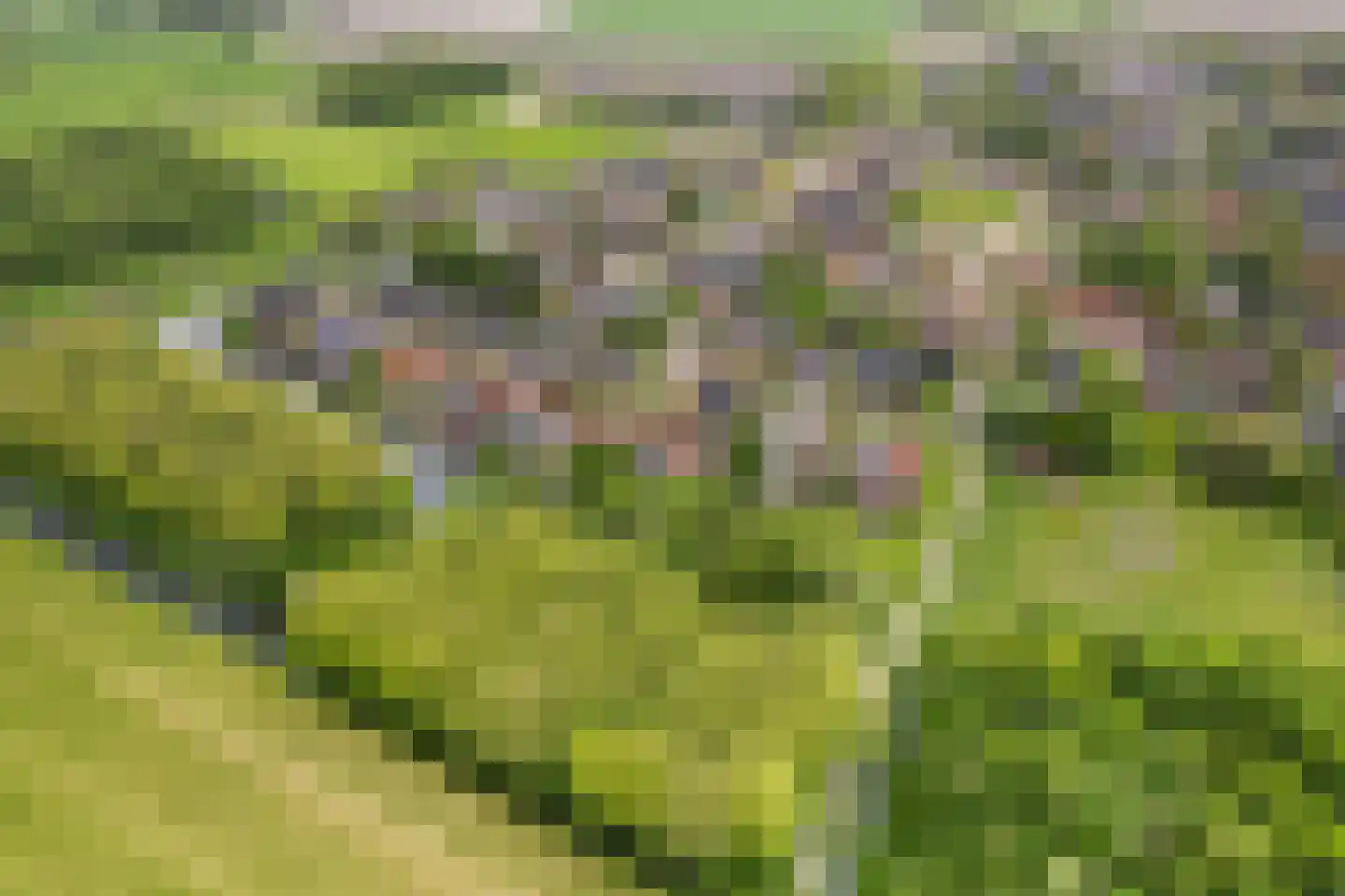 It Skûtsje 4 Mitselwier thumbnail 46