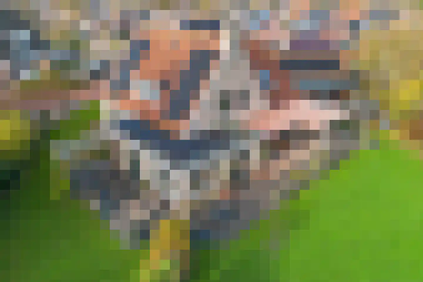 It Skûtsje 4 Mitselwier thumbnail 5