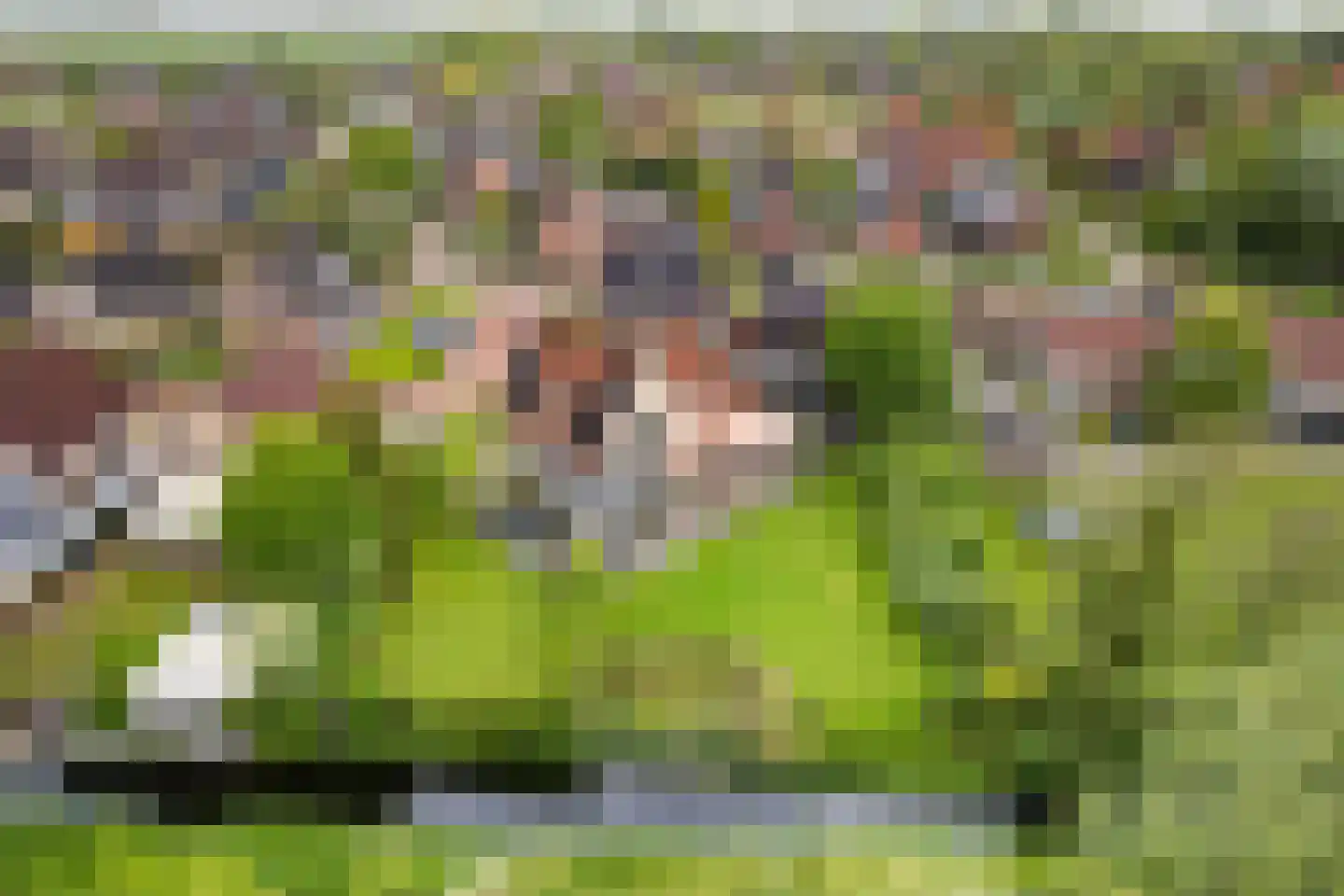 It Skûtsje 4 Mitselwier thumbnail 5