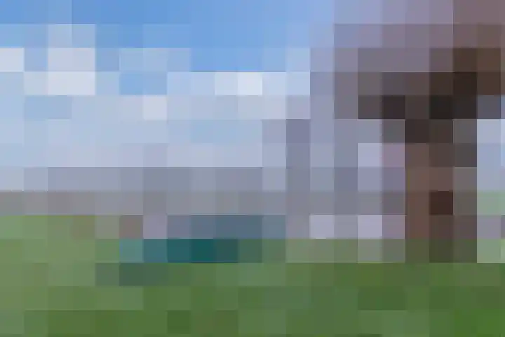It Spyk 16 Mantgum thumbnail 29