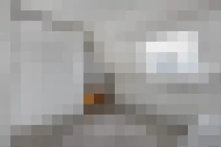 It Spyk 16 Mantgum thumbnail 45