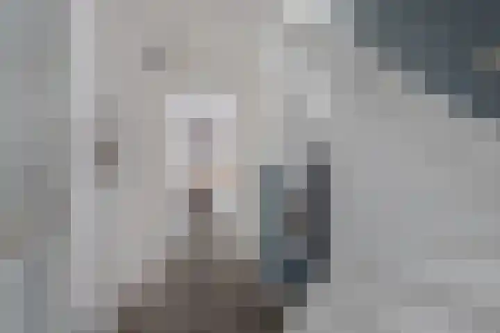 It Spyk 16 Mantgum thumbnail 5