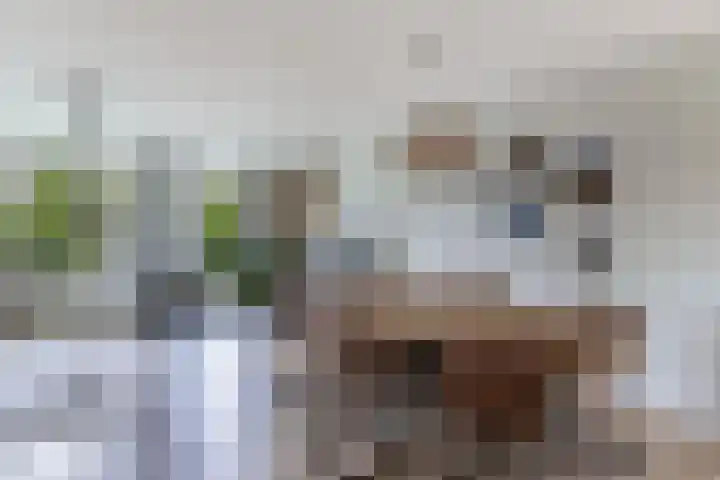 It Stalt 13 A Wommels thumbnail 14