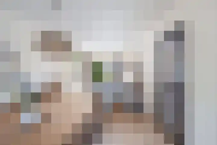 It Stalt 13 A Wommels thumbnail 15