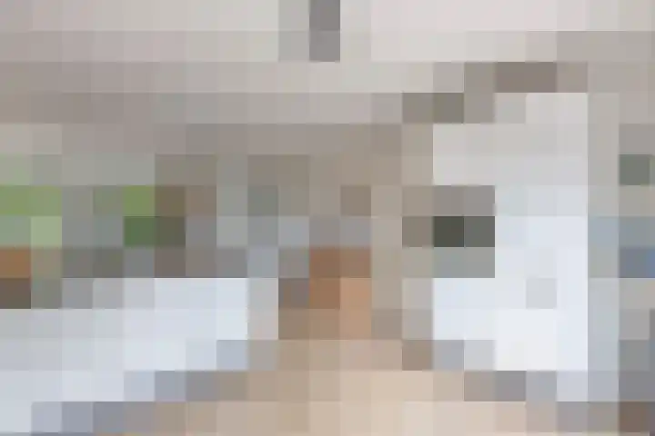 It Stalt 13 A Wommels thumbnail 18