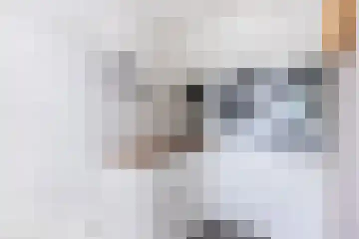 It Stalt 13 A Wommels thumbnail 22