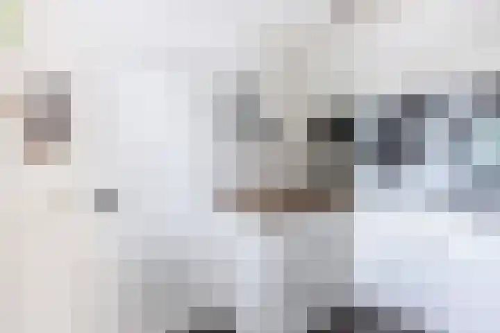 It Stalt 13 A Wommels thumbnail 23