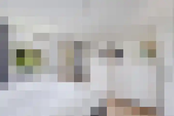 It Stalt 13 A Wommels thumbnail 28