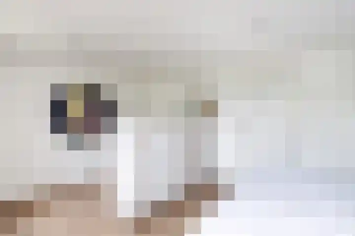 It Stalt 13 A Wommels thumbnail 30