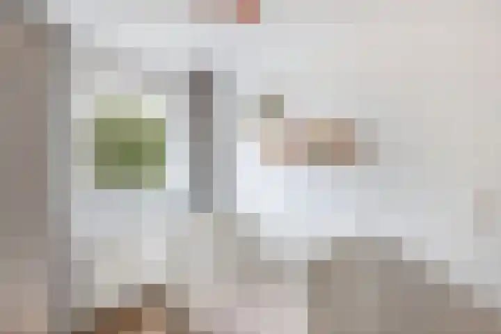 It Stalt 13 A Wommels thumbnail 33