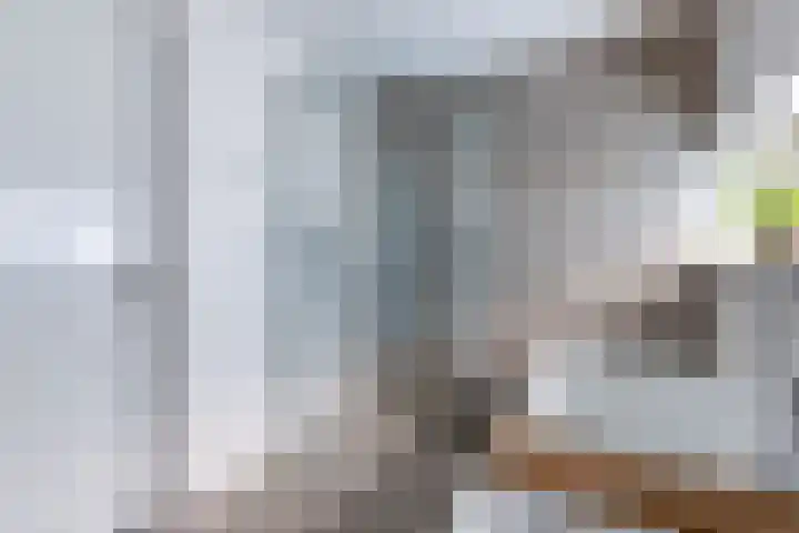 It Stalt 13 A Wommels thumbnail 36