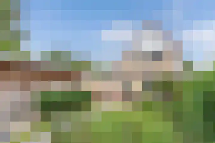 It Stalt 13 A Wommels thumbnail 4