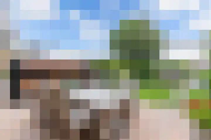 It Stalt 13 A Wommels thumbnail 41