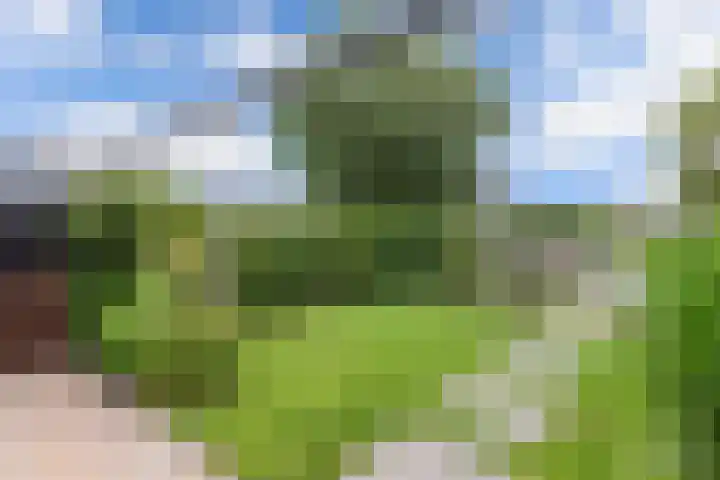 It Stalt 13 A Wommels thumbnail 42