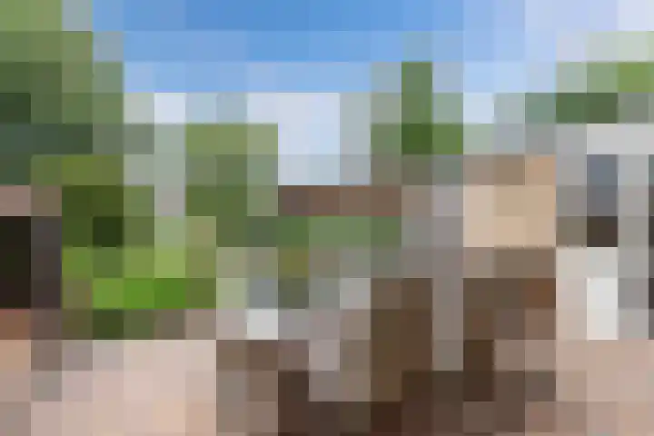 It Stalt 13 A Wommels thumbnail 43