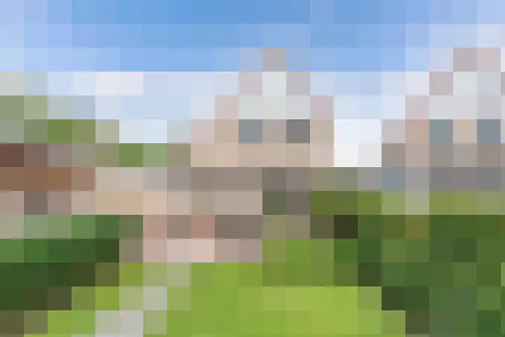 It Stalt 13 A Wommels thumbnail 47