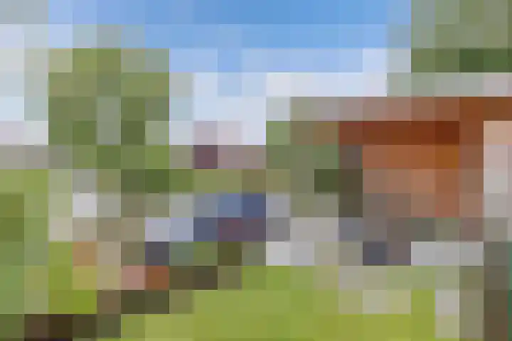It Stalt 13 A Wommels thumbnail 50