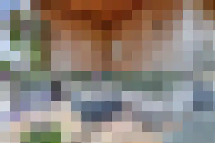 It Stalt 13 A Wommels thumbnail 51