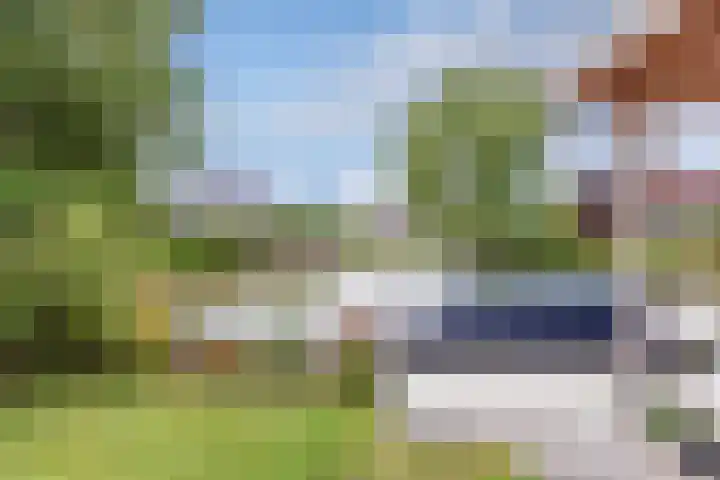 It Stalt 13 A Wommels thumbnail 52