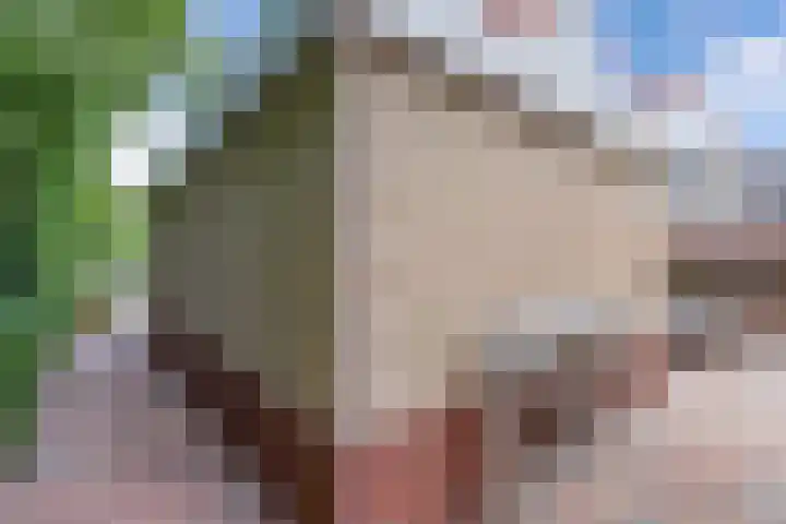 It Stalt 13 A Wommels thumbnail 57