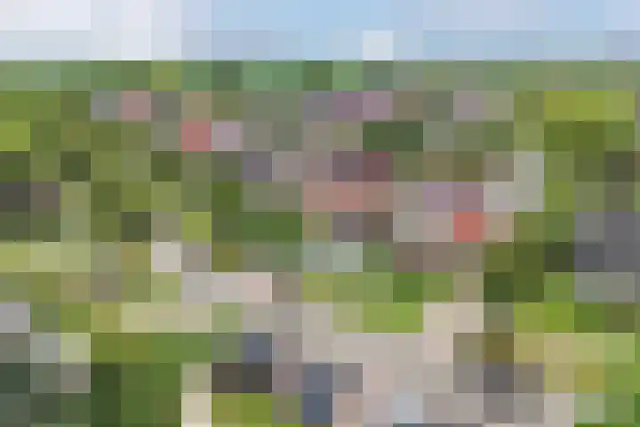 It Stalt 13 A Wommels thumbnail 63