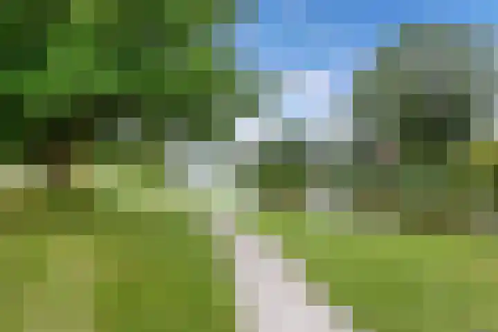 It Stalt 13 A Wommels thumbnail 64