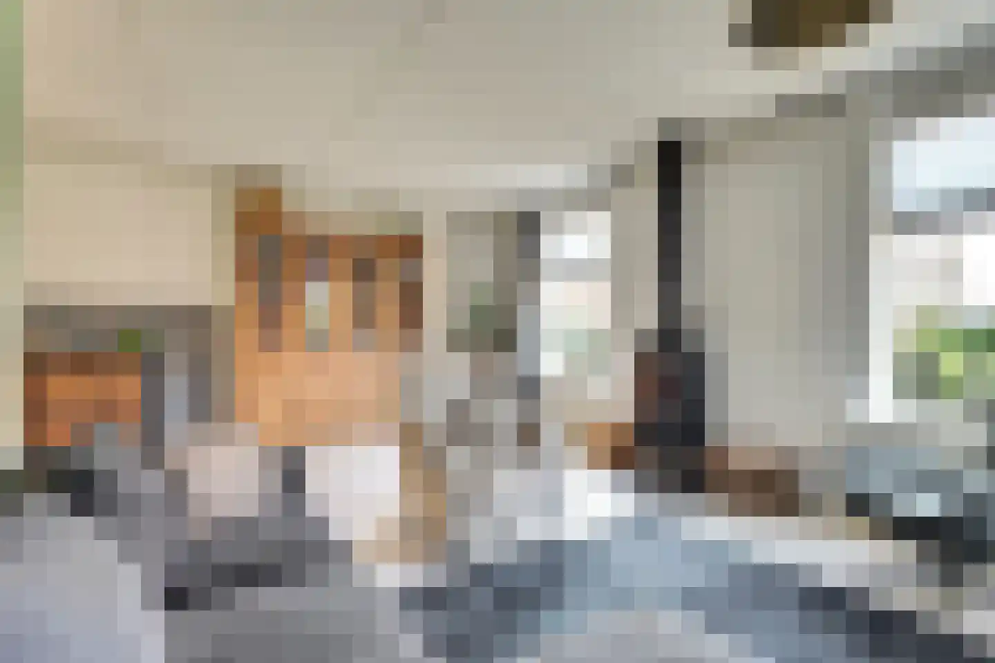 It Stalt 6 Oudega thumbnail 15